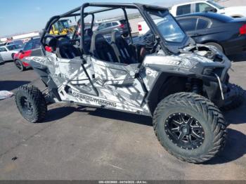  Salvage Polaris RZR